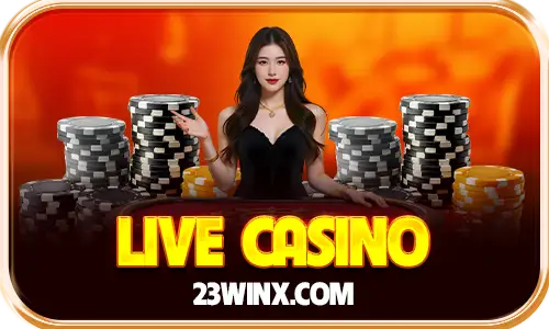 23win icon casino