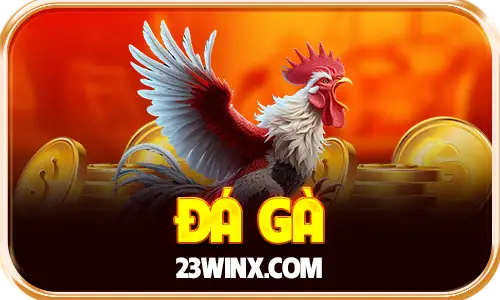 23win icon đá gà