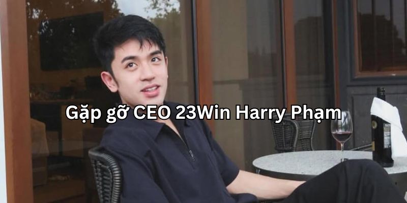 CEO 23Win Harry Phạm